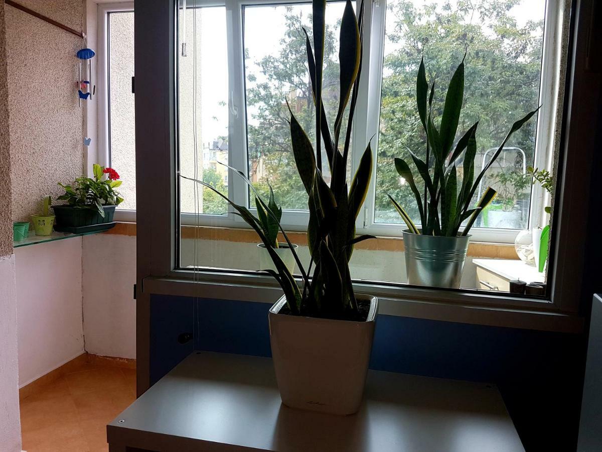 Blue Room 소피아 외부 사진